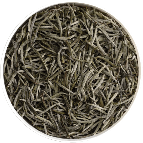 Ceylon White Tea Selection | Dilmah Ceylon Silver Tips Tea - Dilmah ...