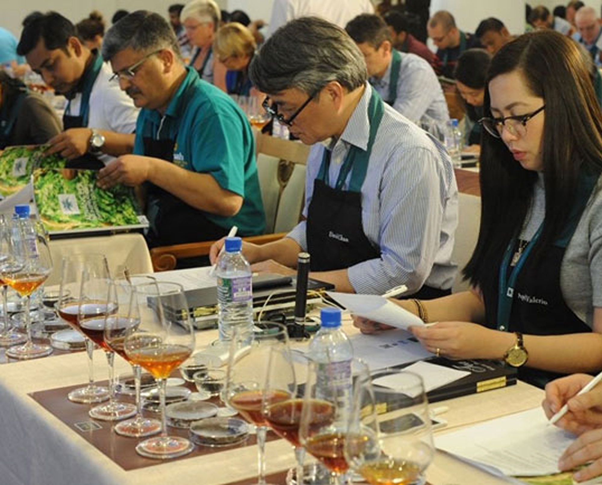 Dilmah School of Tea 2025