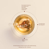 Ceylon Cinnamon Infusion with Ginger, Cardamom & Peppermint – 20 Luxury Bags