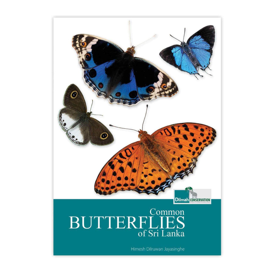 Common Butterflies of Sri Lanka – Illustrated Wildlife Guide Book