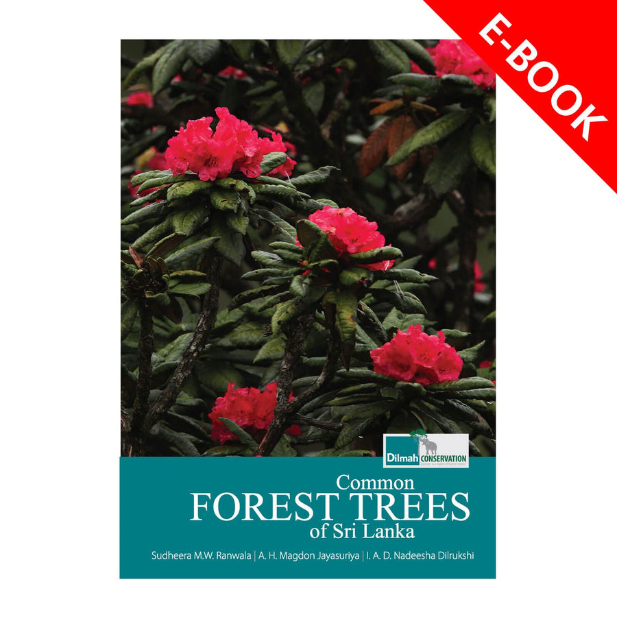 Common Forest Trees in Sri Lanka – Nature & Ecology eBook