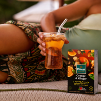 EFT Orange & Ginger Ceylon Black Tea - 20 Tea Bags with Tag