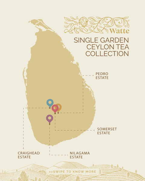 Watte Single Garden Ceylon Tea - Personally selected by Dilmah Founder Merrill J. Fernando