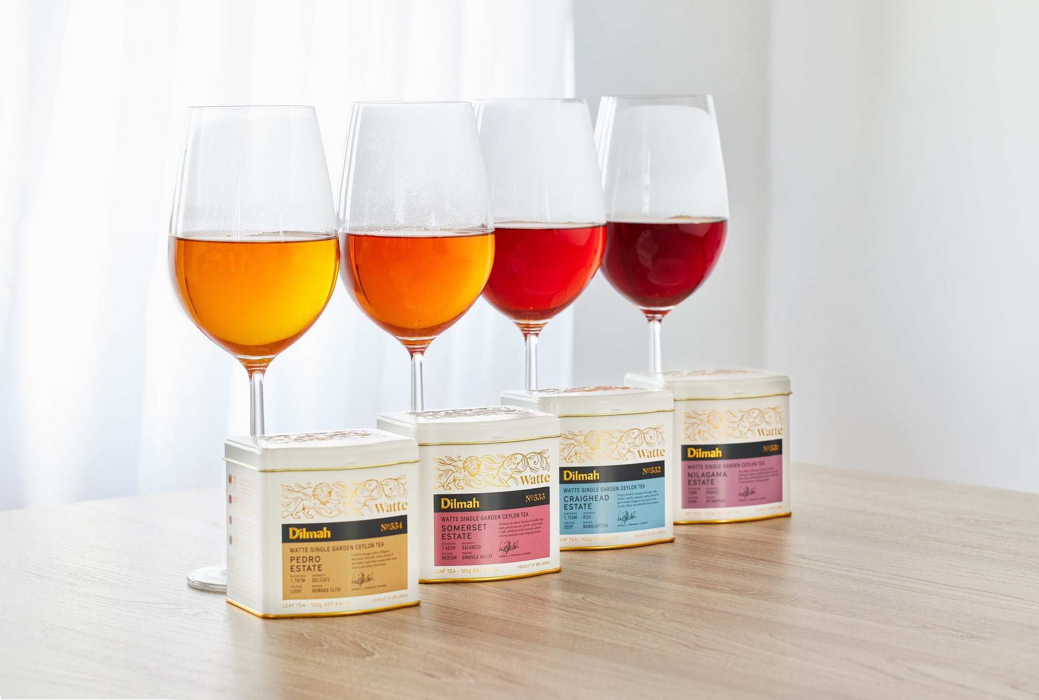 The Grand Watte Experience