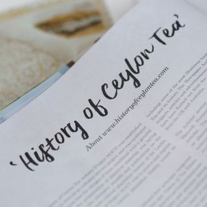 Wisdom in the Leaf-Book