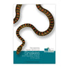 Recognizing Deadly Venomous Snakes from Harmless Snakes of Sri Lanka-Book