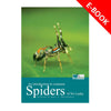 An Introduction to Common Spiders of Sri Lanka-eBook