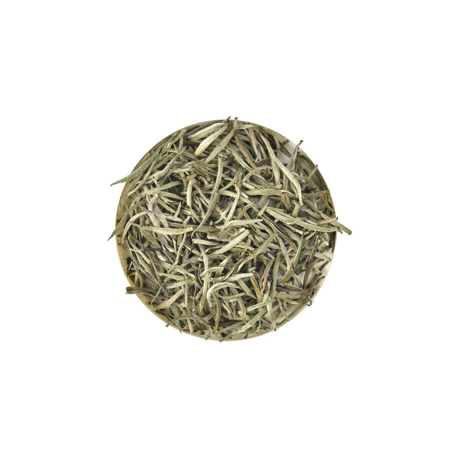 TPR Imboolpittia Estate Ceylon Silver Tips White Tea Caddy-50g Loose Leaf